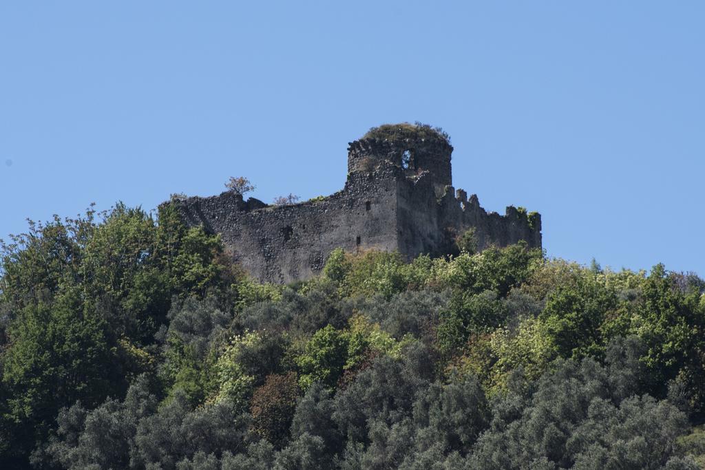 Agriturismo La Vecchia Quercia San Cipriano Picentino ภายนอก รูปภาพ