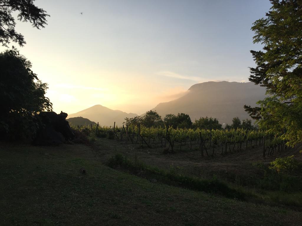 Agriturismo La Vecchia Quercia San Cipriano Picentino ภายนอก รูปภาพ