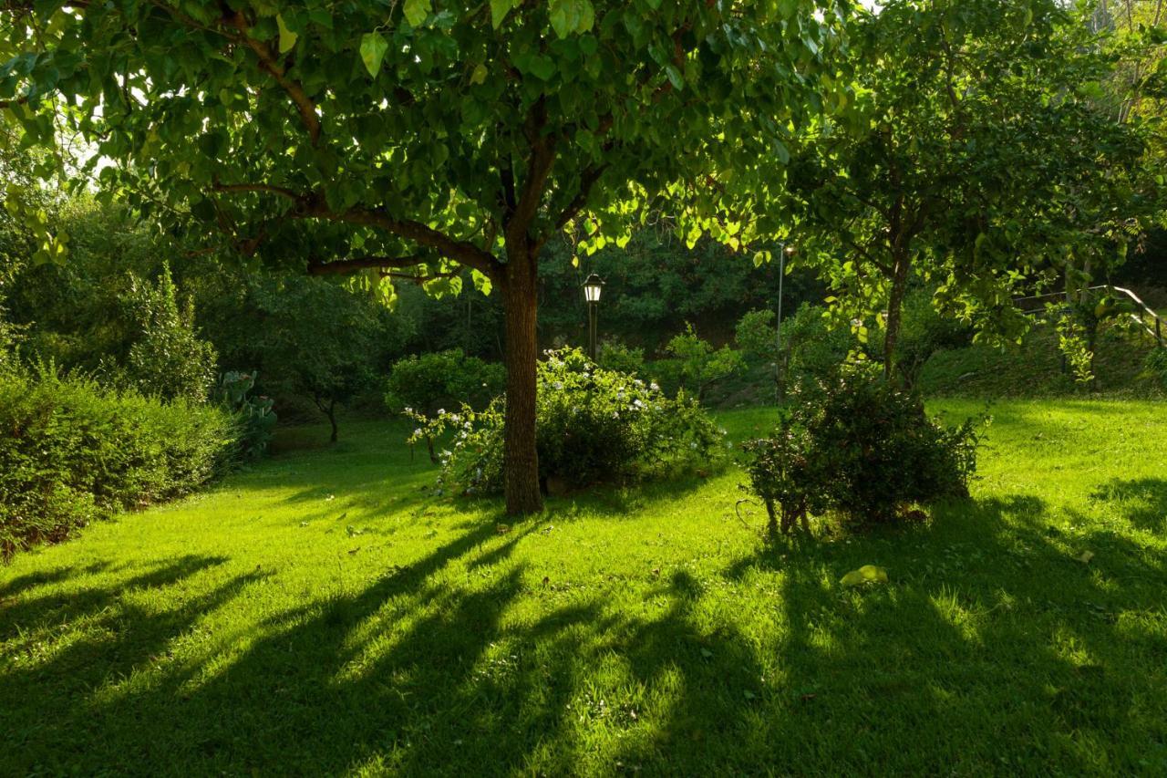 Agriturismo La Vecchia Quercia San Cipriano Picentino ภายนอก รูปภาพ